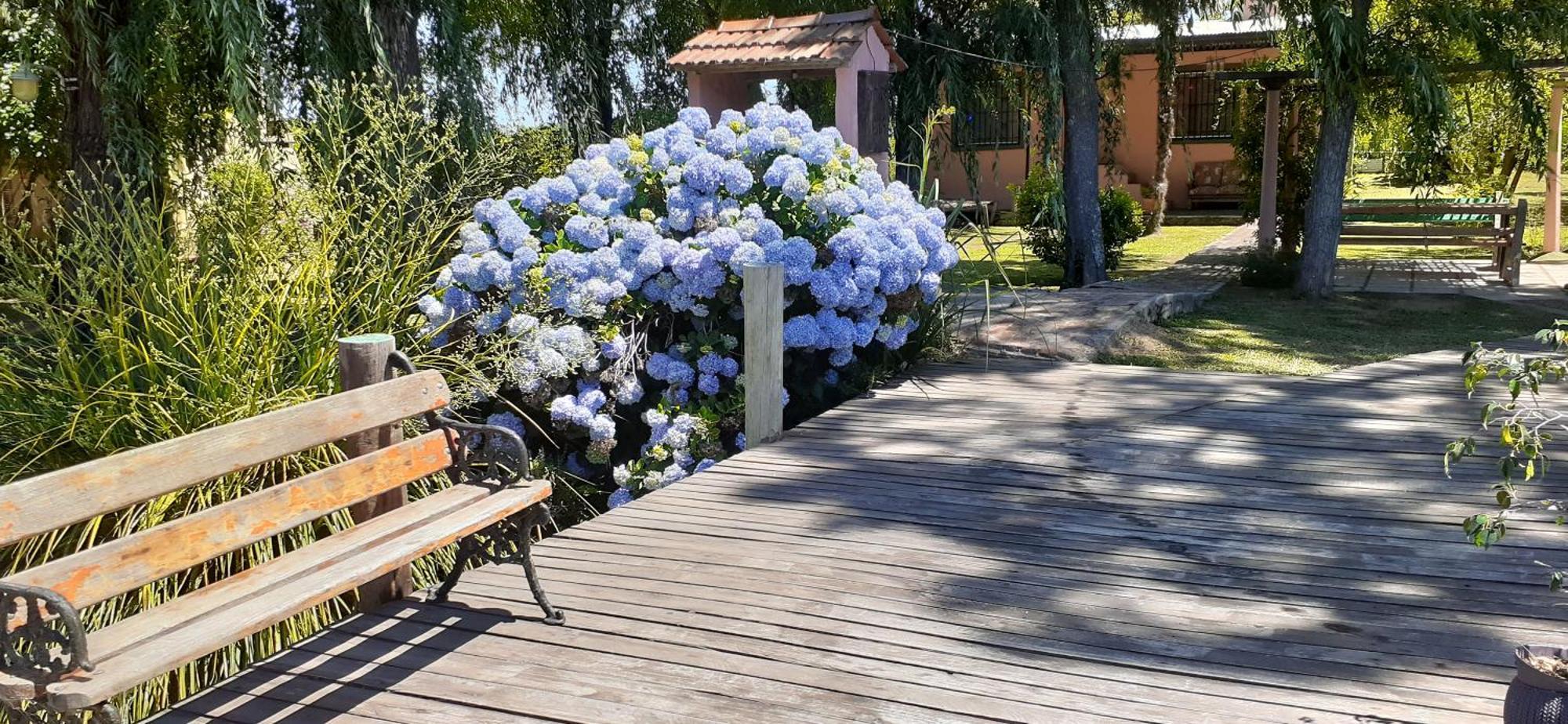 Villa Guitarra Negra Tigre Esterno foto
